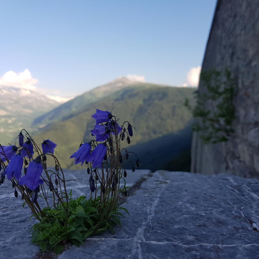 Hotel-Chalet Les Melezes ヴァロワール エクステリア 写真
